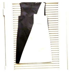 Black/White Color block Sleeveless Dress